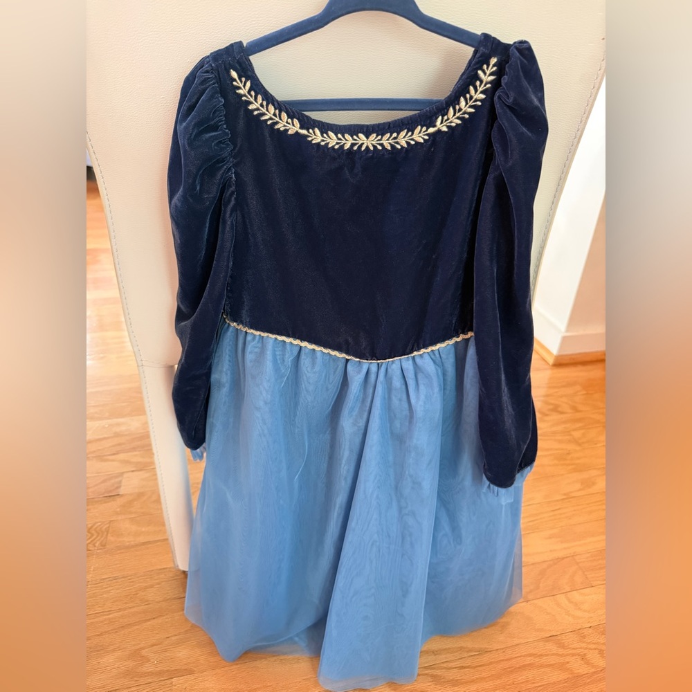 ☺️ Janie & Jack Disney Frozen Velvet Tulle Dress size 6